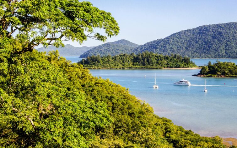 Croisière vers l'île de Whitsunday