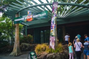 Currumbin Wildlife Sanctuary en Australie