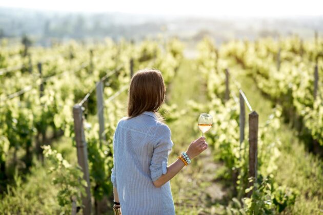 Dégustation de vins à Saint-Émilion