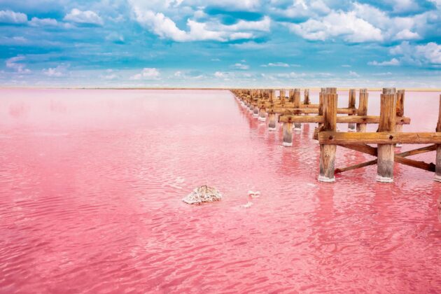 Excursion au lac Rose du Sénégal