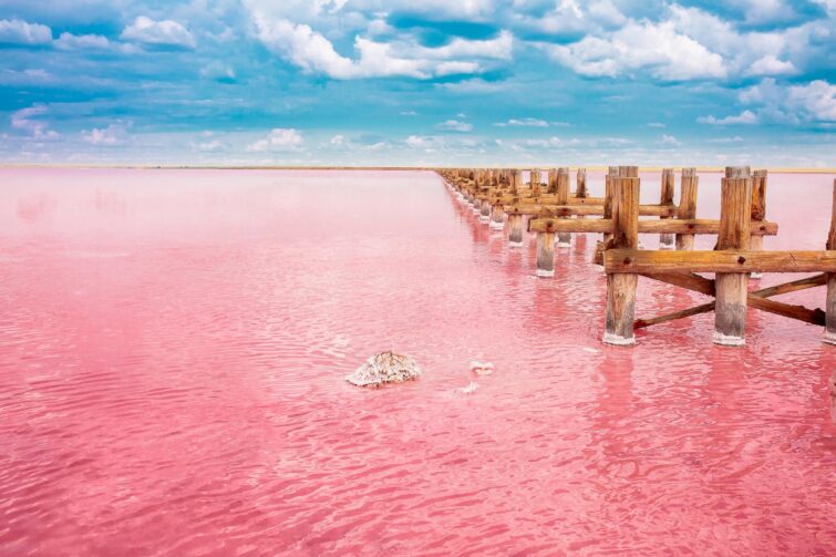 Excursion au lac Rose du Sénégal