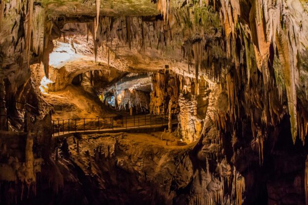 Grotte de Postojna