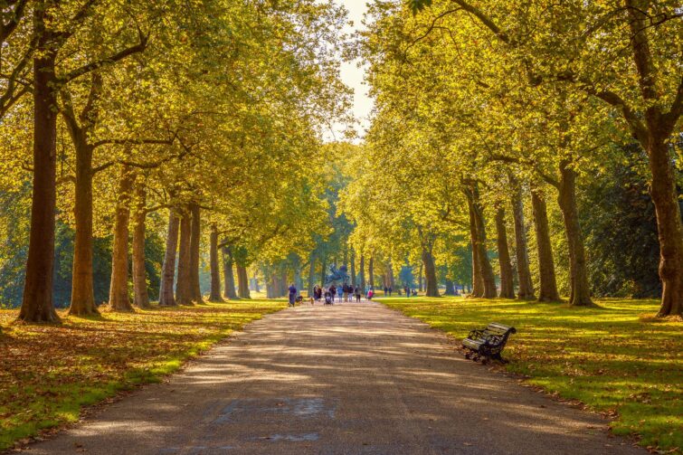 Hyde Park à Londres