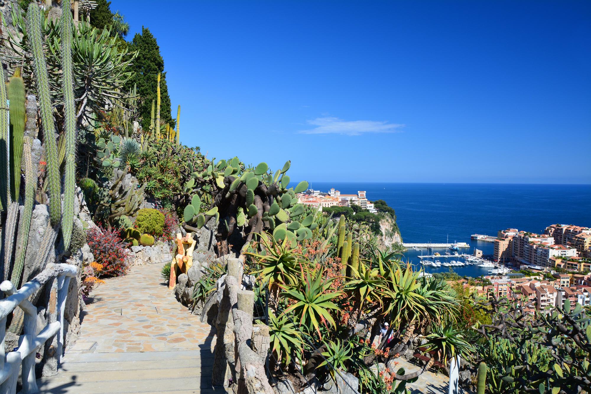 Visiter Le Jardin Exotique De Monaco Billets Prix Horaires