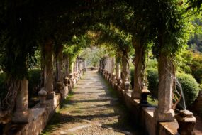 Jardins d'Alfabia, Majorque