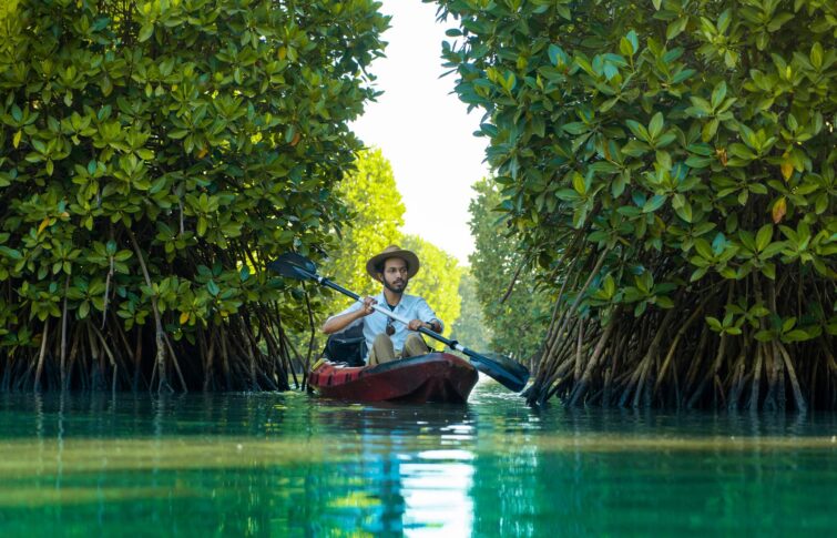 Kayak naviguant dans une forêt de mangroves verdoyante, illustrant le tourisme durable
