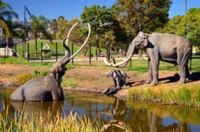 La Brea Tar Pits à Los Angeles