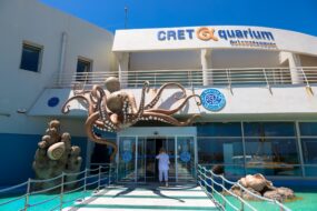 Le Cretaquarium en Crète