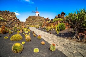 Le Jardin de Cactus à Lanzarote
