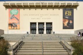 Le Musée d'histoire naturelle de Los Angeles, USA