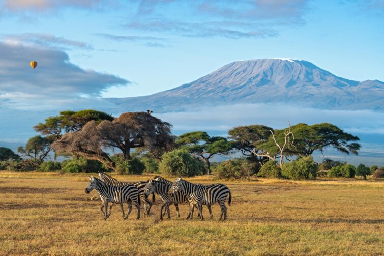Le Parc national du Kilimandjaro