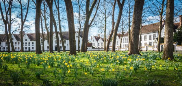 Le béguinage de Bruges au printemps