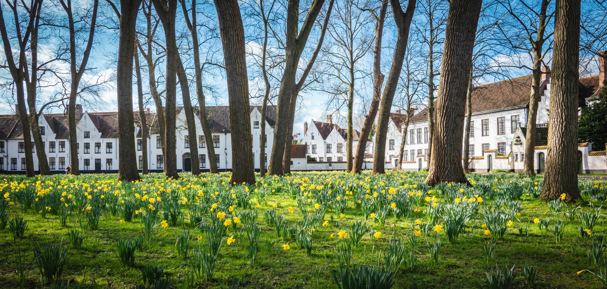 Le béguinage de Bruges au printemps