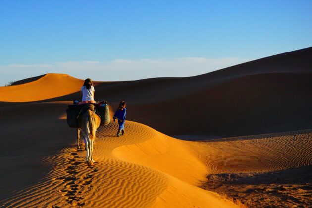 Le désert de Zagora au Maroc/Le désert de Zagora au Maroc/Le désert de Zagora au Maroc