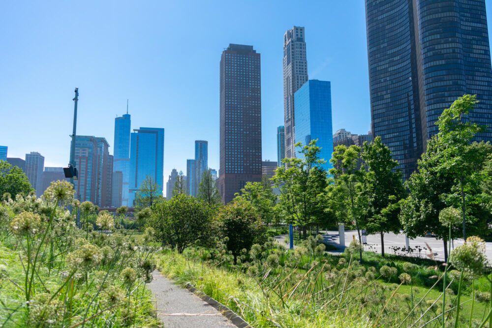 Le parc de Streeterville