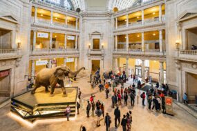 L'intérieur du Musée national d'histoire naturelle Smithsonian