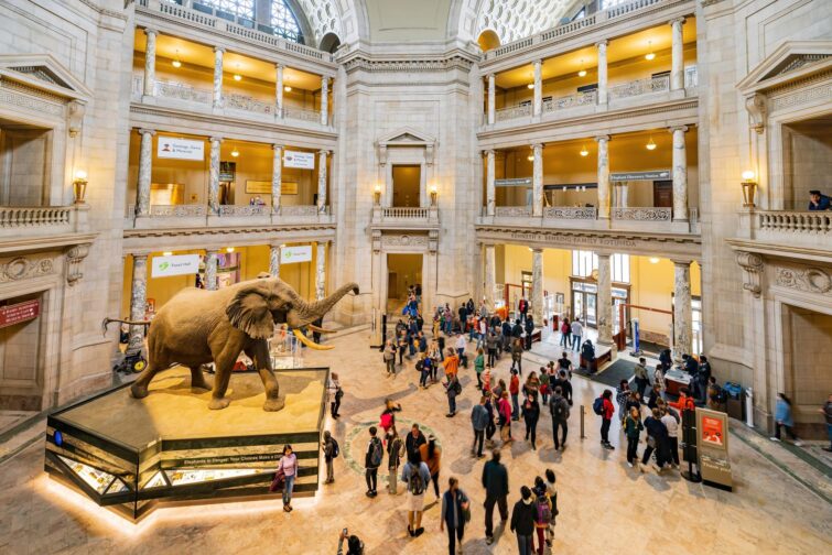 L'intérieur du Musée national d'histoire naturelle Smithsonian