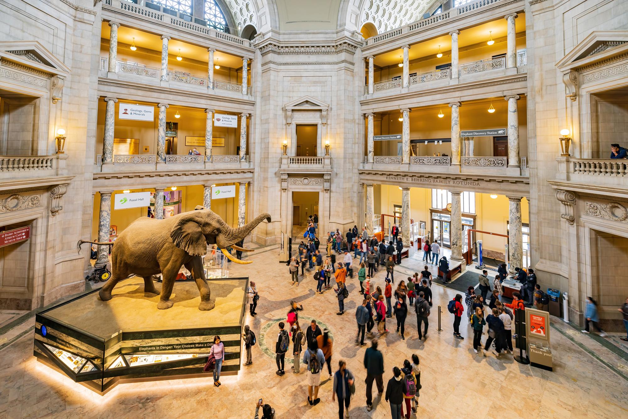 L'intérieur du Musée national d'histoire naturelle Smithsonian