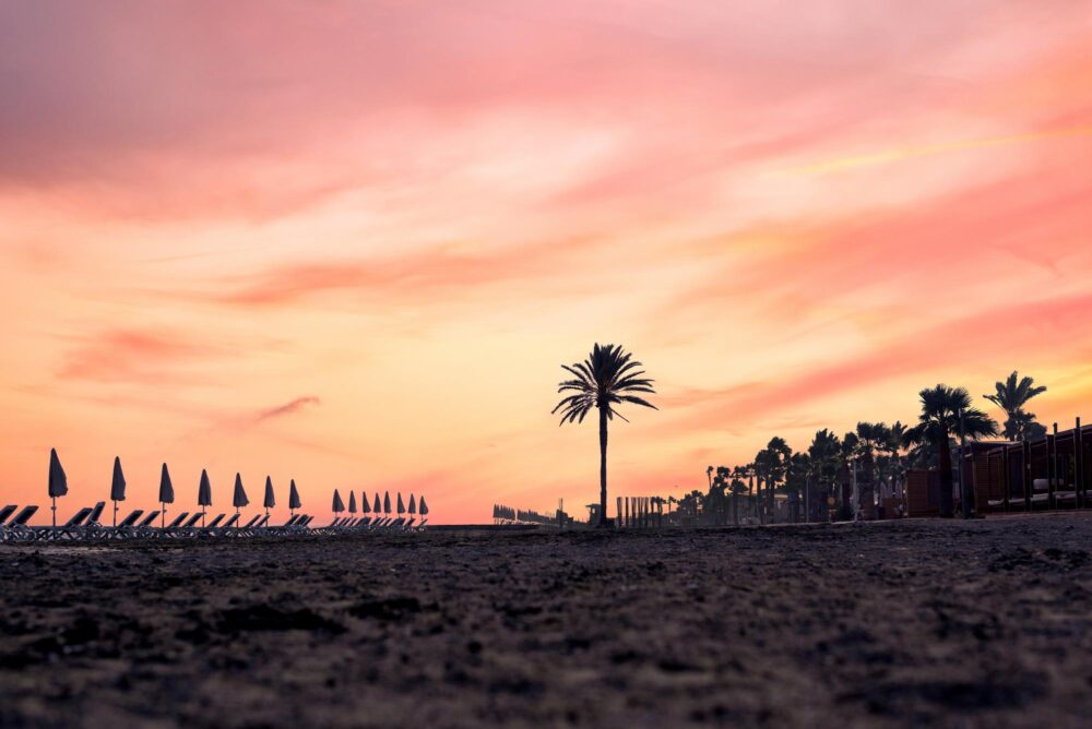MacKenzie Beach à Larnaca