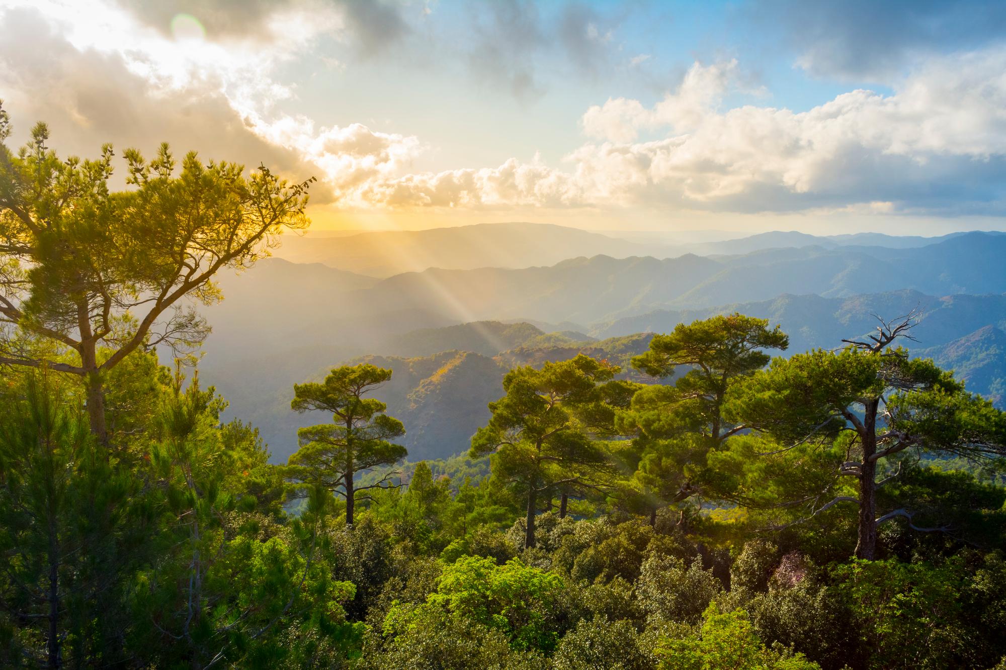 Massif montagneux de Troodos
