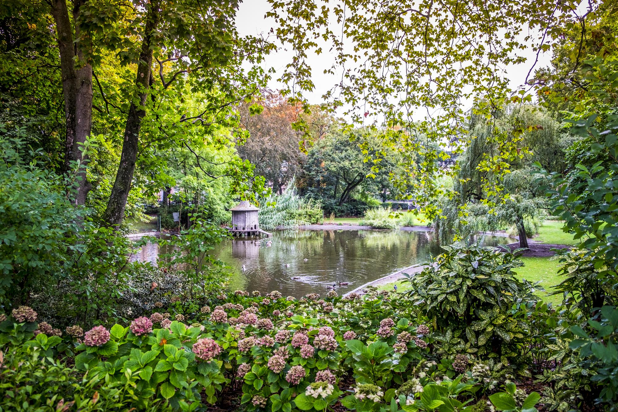 Muséum de Toulouse dans le Jardin des Plantes