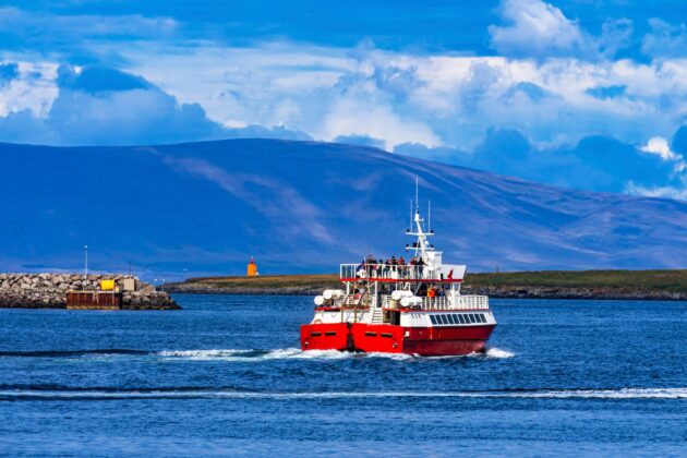 Observation des baleines à Reykjavik en Islande