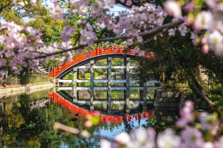 Pont Taiko-bashi au sanctuaire Sumiyoshi Taisha à Osaka, Japon