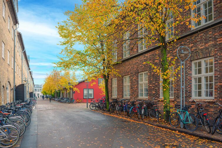 Rue pavée pittoresque avec maisons en bois et briques à Copenhague en automne