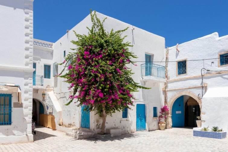 Rue typique à Houmt Souk, Djerba, Tunisie, avec des bâtiments blancs et des portes bleues