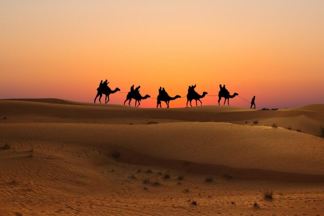 Safari dans le désert à Dubaï, Émirats arabes unis
