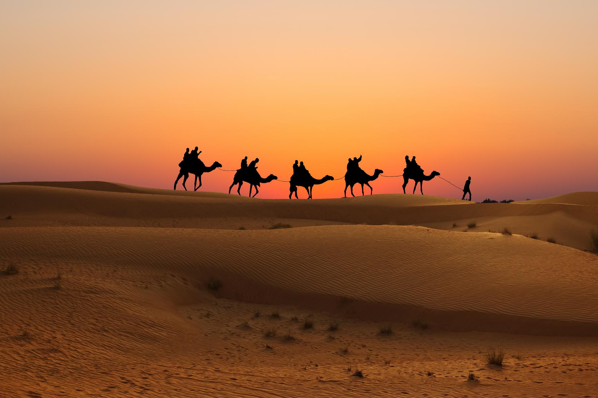 Safari dans le désert à Dubaï, Émirats arabes unis