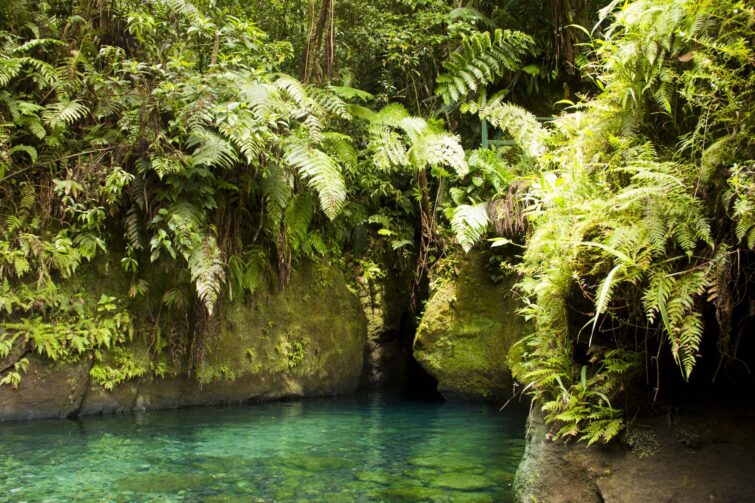 Titou Gorge, La Dominique