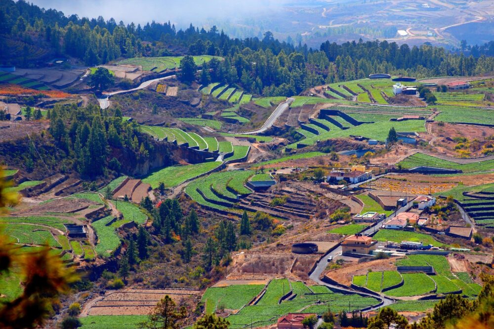 Vilaflor, Tenerife
