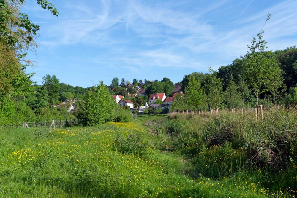 Village de Torcy