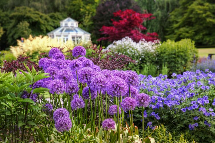 Visite du Jardin botanique de Göteborg en Suède