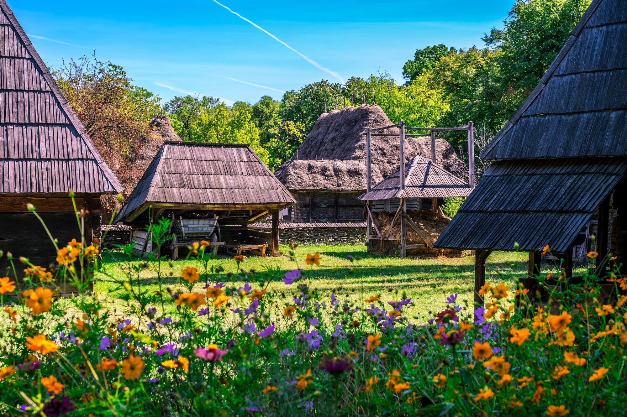 Visite du Musée du Village roumain à Bucarest
