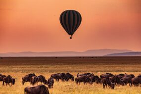Vol en montgolfière au-dessus du Serengeti, Tanzanie