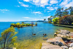 Vue sur le lac Rotorua en Nouvelle-Zélande