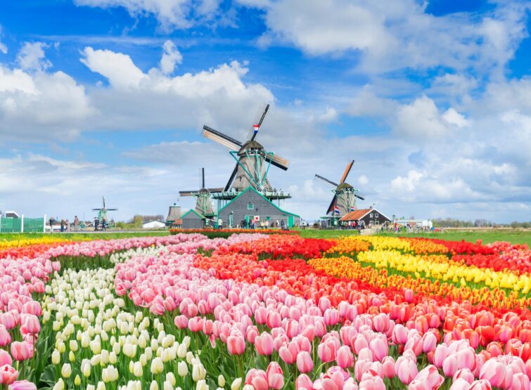 Zaanse Schans aux Pays-Bas