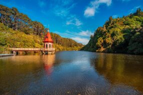 Zealandia à Wellington en Nouvelle-Zélande