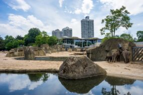 Zoo de Cologne