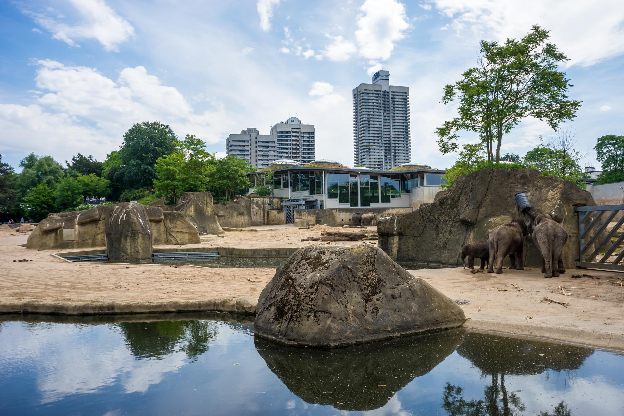 Zoo de Cologne