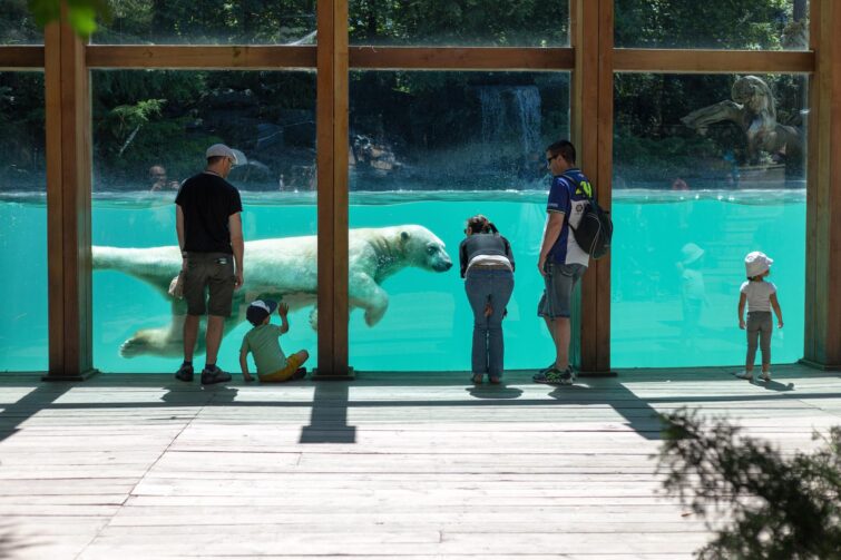 Zoo de La Flèche