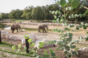 Zoo de Thoiry