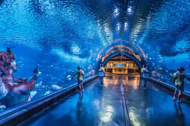 Aquarium de Phuket