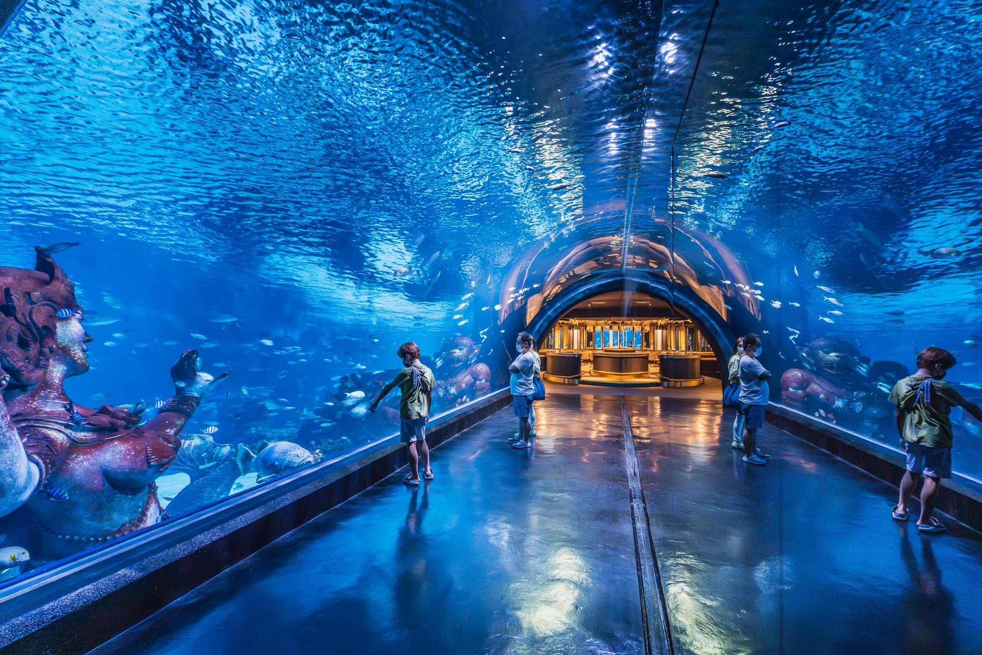 Aquarium de Phuket
