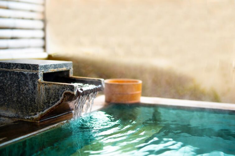 Bain thermal japonais onsen en plein air avec vue sur la nature