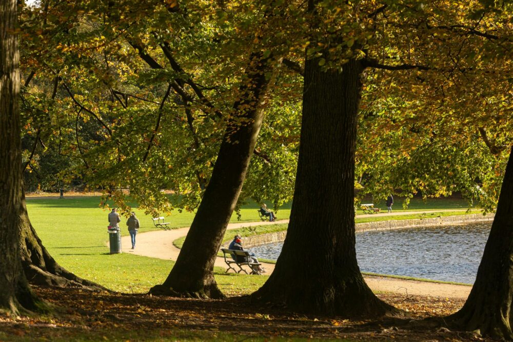 Bois de la Cambre à Bruxelles, Belgique