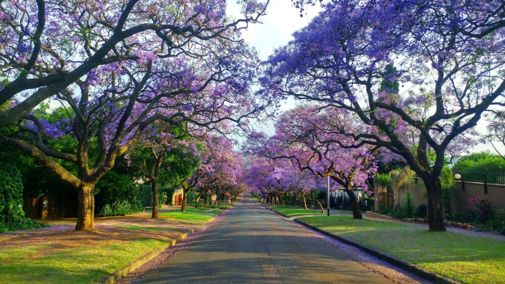 Bryanston