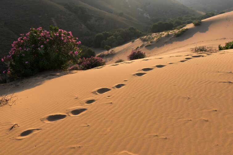 Dunes de sable à Lemnos en Grèce